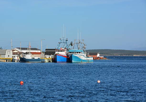 istock Frenchman's Cove, Newfoundland 495437030