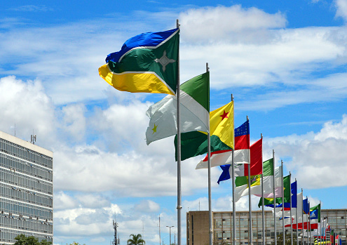 Brasília, Federal District, Brazil: flags of all Brazilian states at the Ministries Esplanade - set in alphabetical order, starting with Amapá state - Monumental Axis - Esplanada dos Ministérios - photo by M.Torres