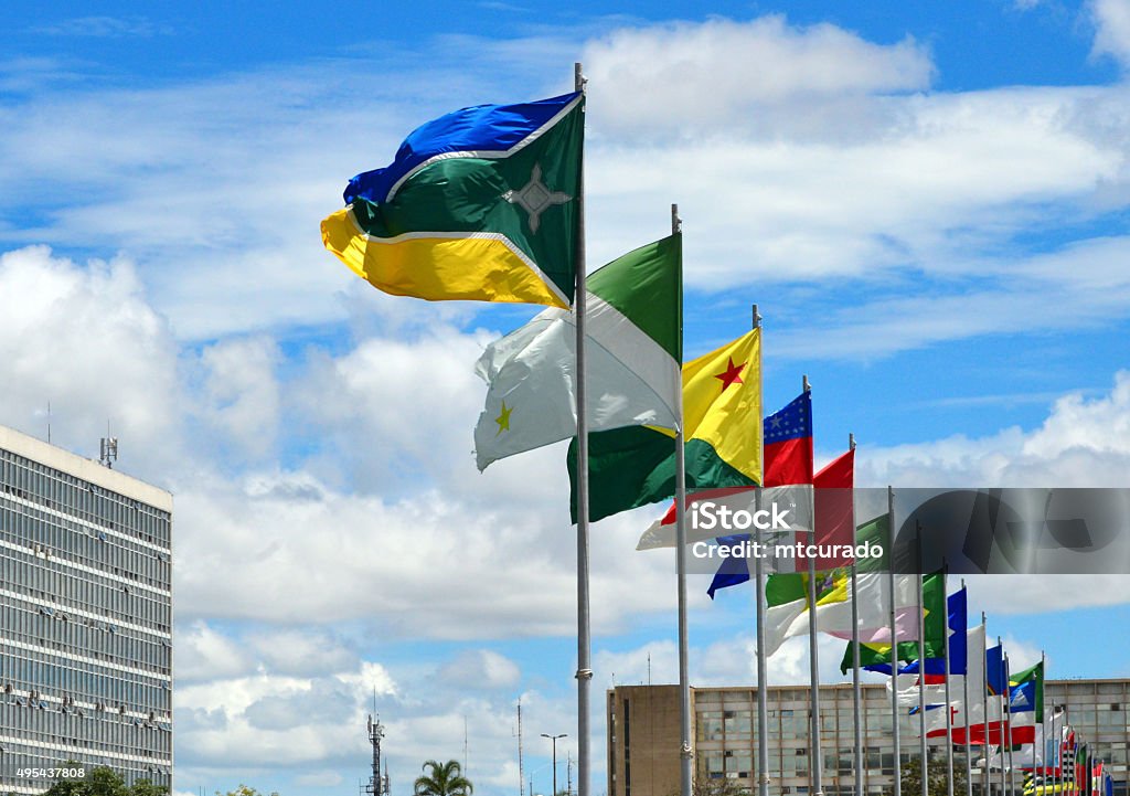 Flags of all Brazilian states, Brasilia Brasília, Federal District, Brazil: flags of all Brazilian states at the Ministries Esplanade - set in alphabetical order, starting with Amapá state - Monumental Axis - Esplanada dos Ministérios - photo by M.Torres Mercosur Stock Photo