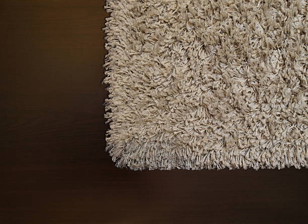 istock Beige shaggy carpet on wenge floor 495438802