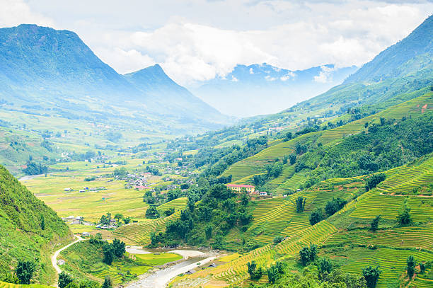 istock Rice fields on terrace at SAPA, Lao Cai, Vietn 495452792
