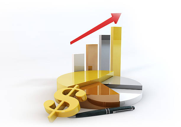 istock Dollar Business Pie with Bar graph Growth Up 495453150