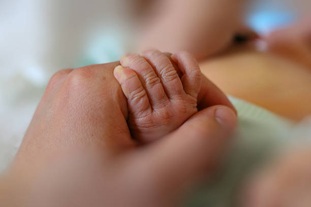 Newborn little hand hold by adult hand stock photo