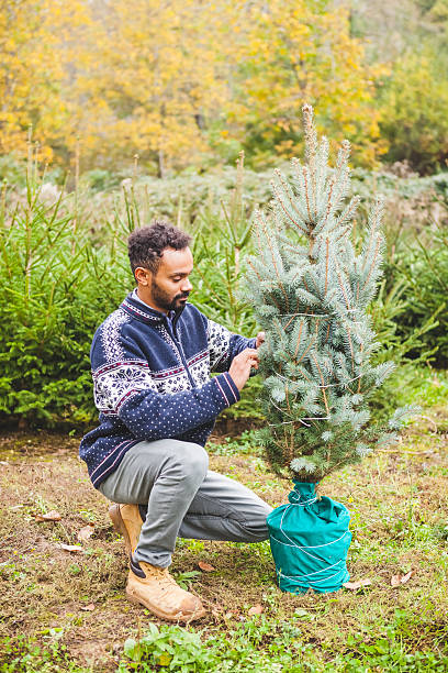istock Young Man Selling Fir Trees for Christmas 495455424