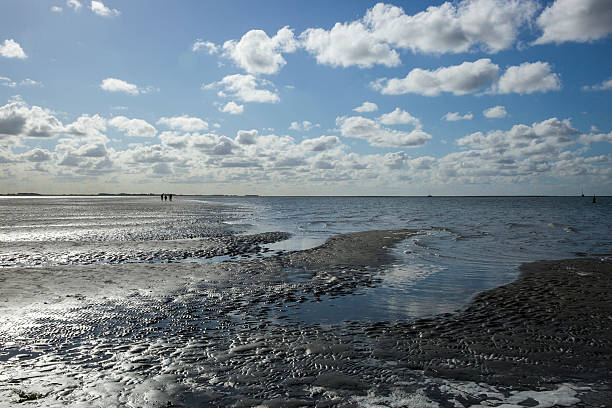istock Maritime landscape with reflection of clouds in low tide water 495455558