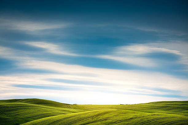 тоскана поле - rolling hill field green стоковые фото и изображения