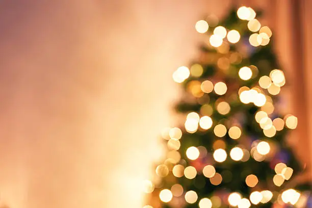 Photo of Christmas Tree