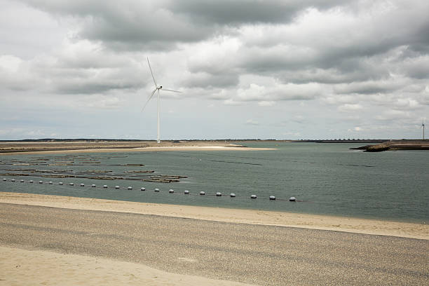 istock Seaside view with power windmills, Haringvliet, The Netherlands 495459892