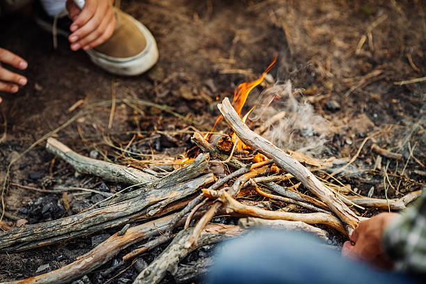 istock hand putting fir wood to fire 495467034