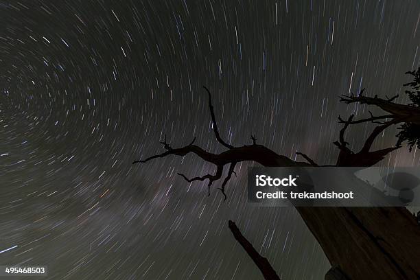 Árvore De Estrelas Instáveis Percursos - Fotografias de stock e mais imagens de Assustador - Assustador, Horror, Rasto de estrelas