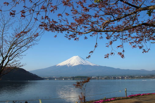 Mt.Fuji with Sakura at Lake Kawaguchi, Yamanashi, Japan
