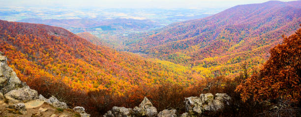 istock XXXL: Rock outcroppings frame the autumn forest 495468632