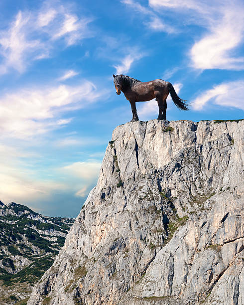 istock Proud stallion standing on top of a cliff 495469445