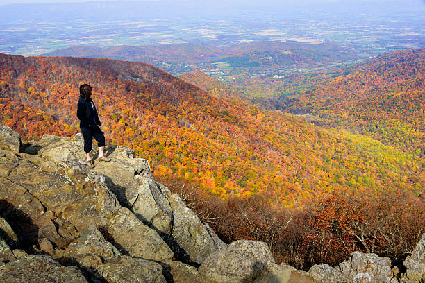 XXXL: Mature woman looking over an autumn scene