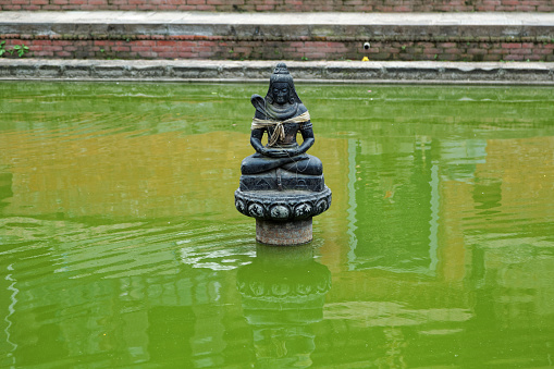 Buddha statue  in a green pond