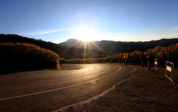 朝には、road をひまわりの丘、ブルースカイ - justin bua ストックフォトと画像