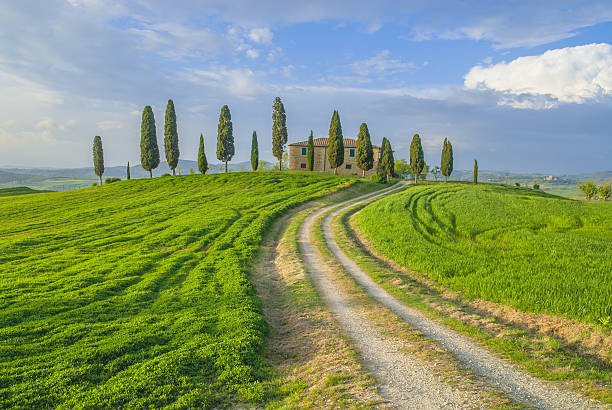 istock Lovely colors of the Tuscan spring. 495470843