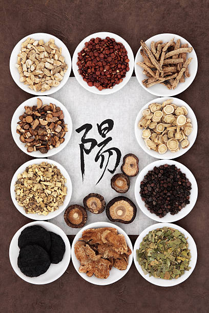 Yang Herb Selection Chinese herbal medicine with calligraphy script on rice paper with yang herb selection. Translation reads as yang. tao of herbs pictures stock pictures, royalty-free photos & images