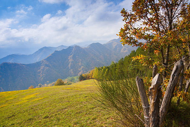Nationalpark Foreste Casentinesi Monte Falterona E Campigna Fotos