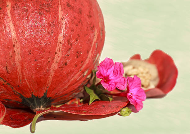 pumpkin and flowers