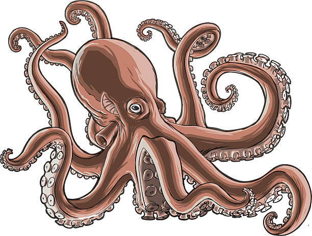 illustrazioni stock, clip art, cartoni animati e icone di tendenza di dettagliata sfumato illustrazione vettoriale di un obiettivo unitario. - red octopus