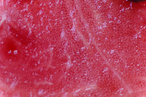 istock Juicy big red watermelon lying on a wooden table 495473280