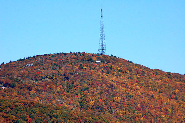istock Colorful trees covering mountain with antenna on it 495473830