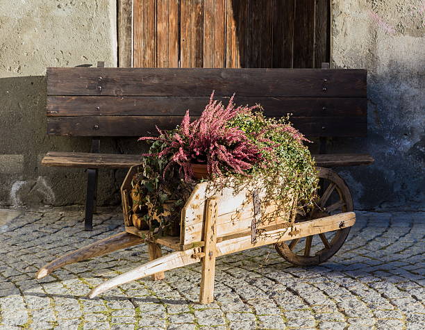 istock flower in the wheelbarrow 495474272