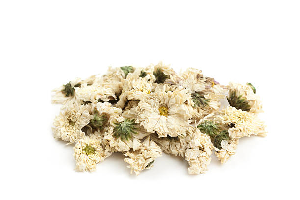 ドライ菊-伝統的な中国の薬 - herbal medicine tea crop tea leaves dry ストックフォトと画像
