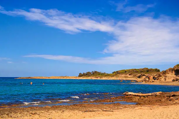 This stretch of coast, six kilometers long, includes a landscape strongly characterized by Mediterranean features, going from the sea beyond the dunes, through the Mediterranean maquis and the marshes, to a centuries-old olive grove. Each shape and color in the Park is influenced and shaped by the sea.