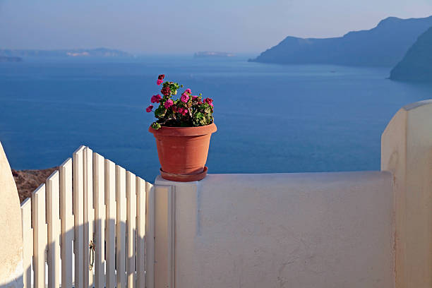 istock Vase with flowers at balcony in Santorini, Greece 495478228