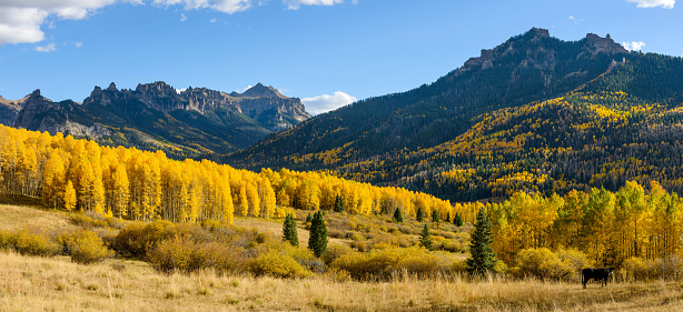 Golden autumn scene at a mountain valley on Owl Creek Pass Road, near Ridgeway, Colorado, USA.