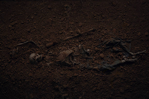 enterrada vítima csi - caveira osso - fotografias e filmes do acervo