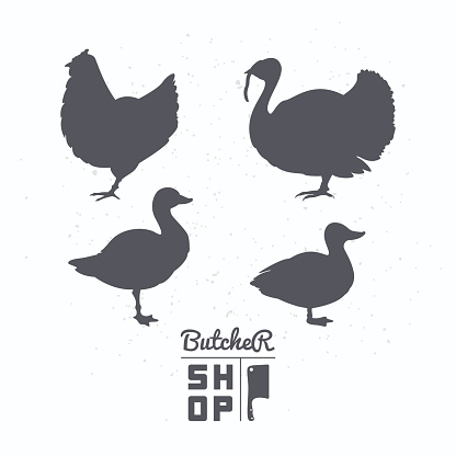 Set of farm birds silhouettes. Chicken, turkey, goose, duck meat. Butcher shop label template for craft food packaging or restaurant design. Vector illustration
