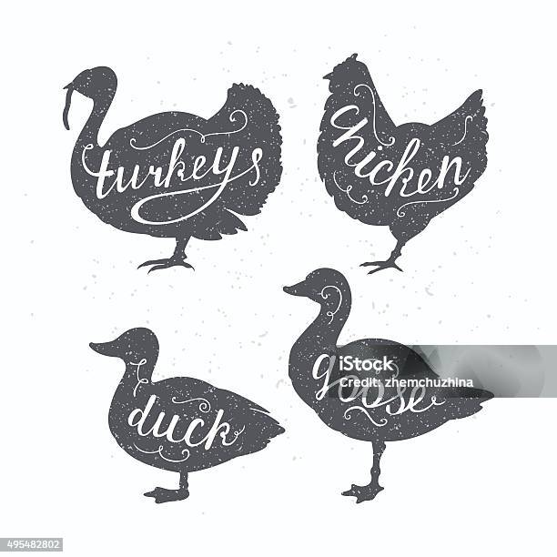 Hand Drawn Hipster Farm Birds Silhouettes Chicken Turkey Goose Duck Stock Illustration - Download Image Now