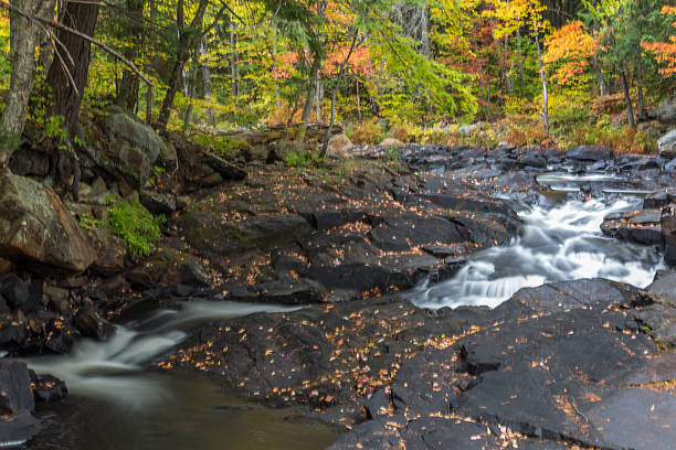 istock Autumn Color series 495483822