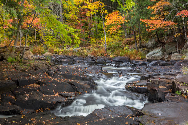 istock Autumn Color series 495483910