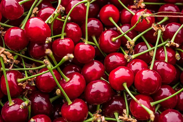 Photo of many cherries