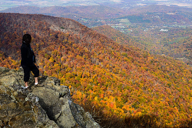 istock XXXL: Mature woman looking over an autumn scene 495489948
