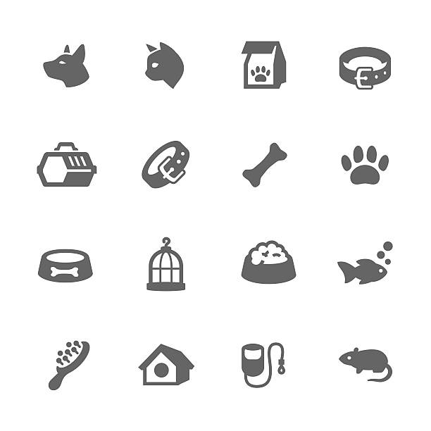 illustrazioni stock, clip art, cartoni animati e icone di tendenza di semplici icone di animali domestici - dog animal bone dog bone dog food