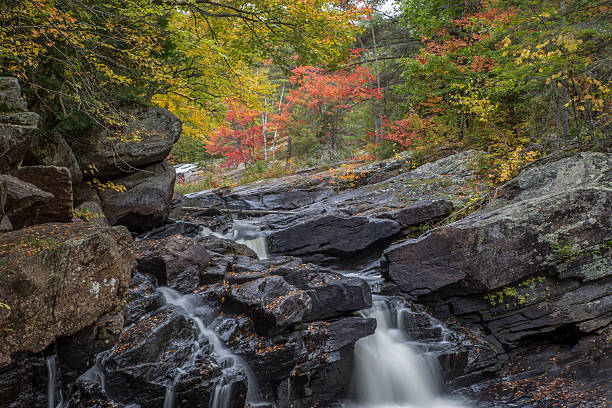istock Autumn Color series 495490978