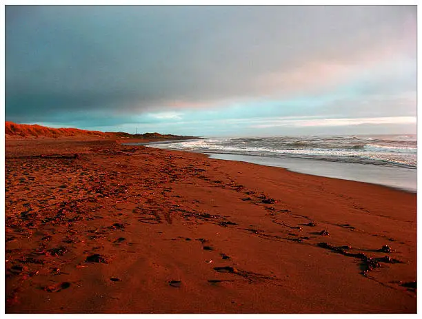 took this photo on a beach in northern California the colors in the shy were beautiful 