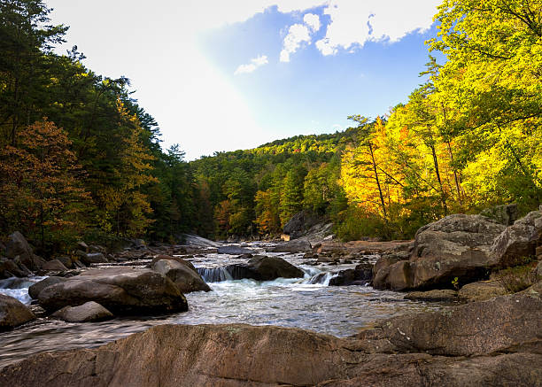 istock Sunny autumn day at Wilson Creek 495491186