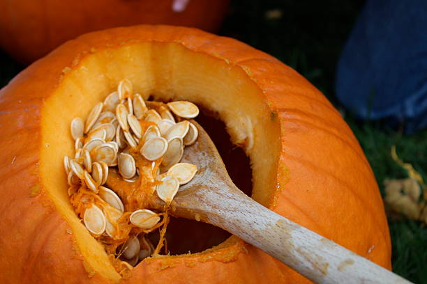 sculpture de citrouilles - gourd halloween fall holidays and celebrations photos et images de collection