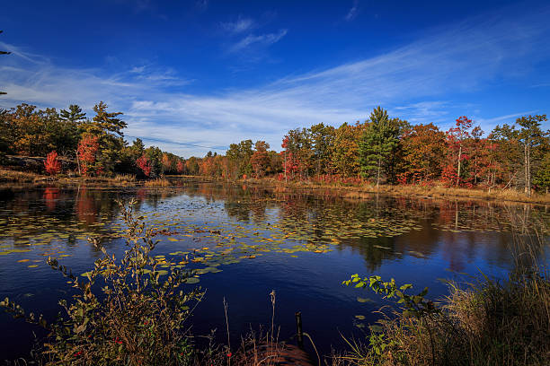 istock Autumn Color series 495491918