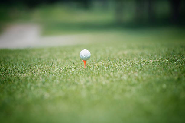 istock Golf club and ball in green grass 495492124