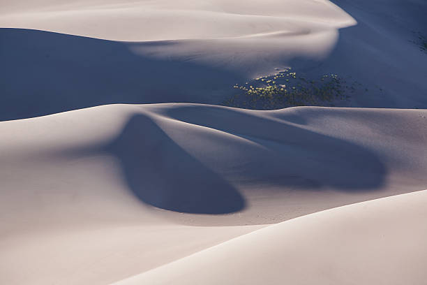 istock Great Sand Dunes National Park, Colorado 495492264