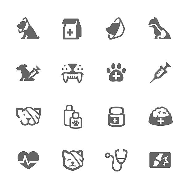 illustrazioni stock, clip art, cartoni animati e icone di tendenza di semplici icone animali veterinario - dog animal bone dog bone dog food