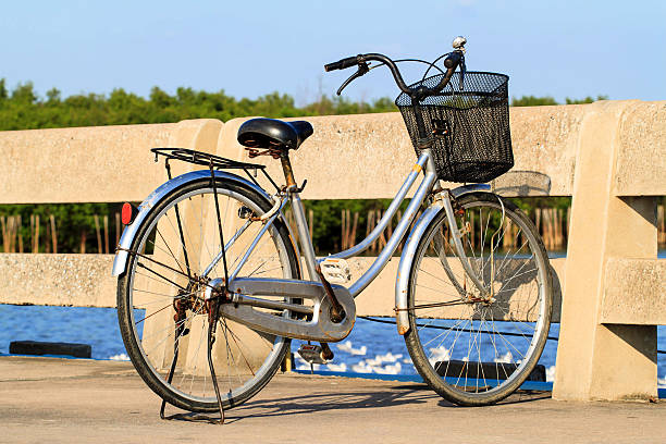 istock vintage bicycle parked beside the sea 495495476