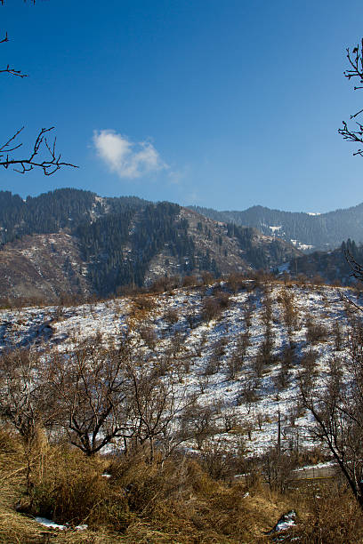 istock Trans-Ili Alatau mountains 495497790